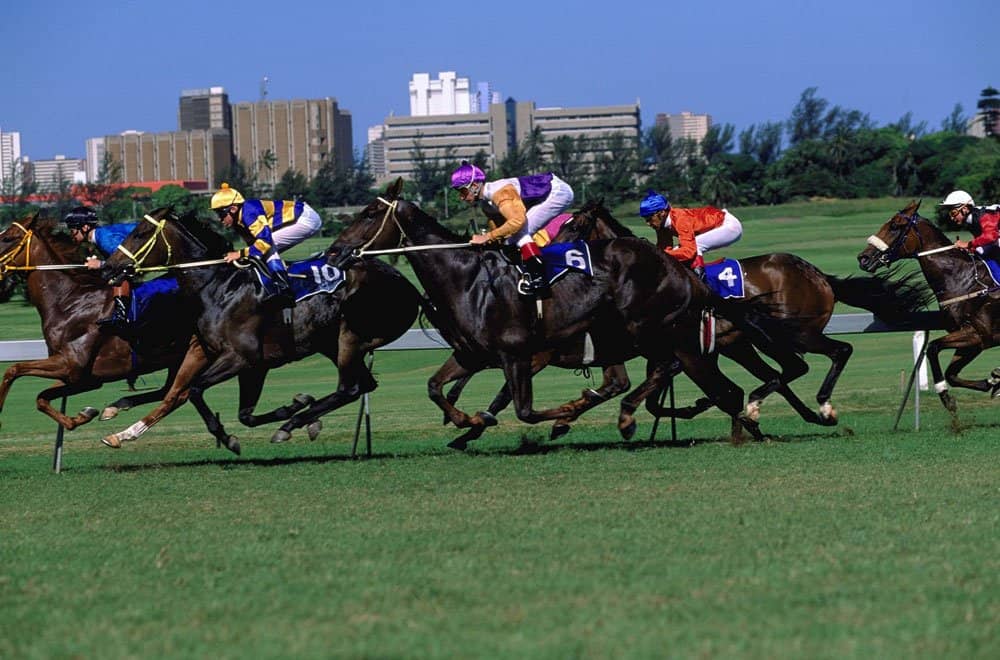 Corrida de Cavalo áfrica do Sul